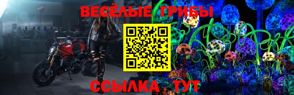 Галлюциногенные грибы мухоморы  Вход с VPN  Находка 